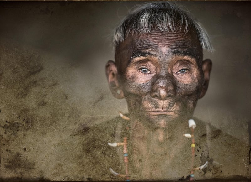 Time-Traveling Safaris